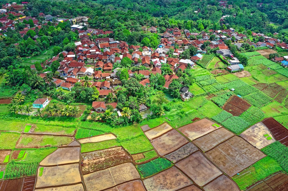 aerial photo of houses