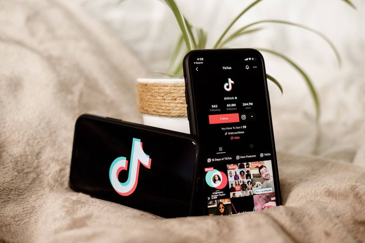 jadwal fyp tiktok