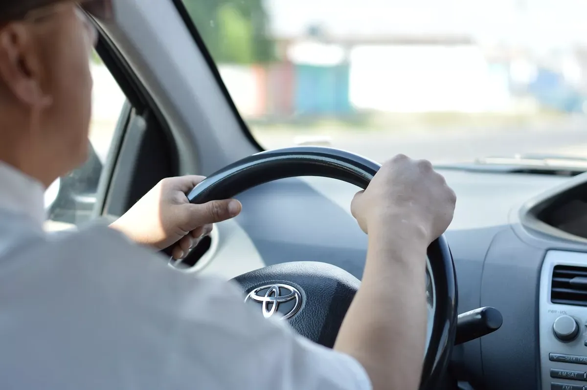 contoh cv driver