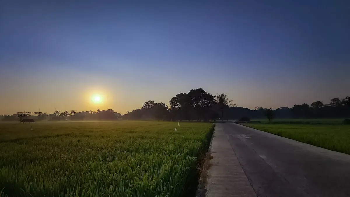 umr garut