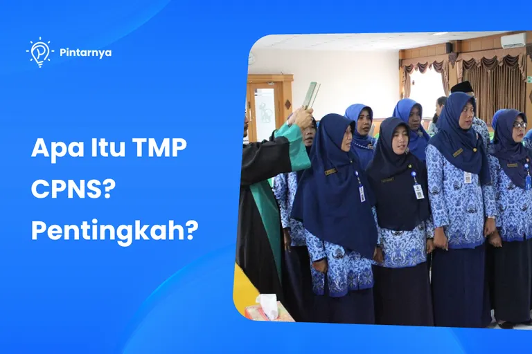 apa itu tmt cpns